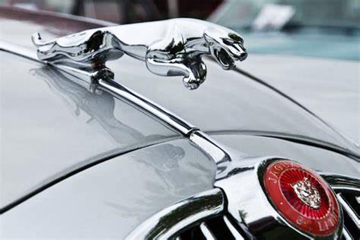 Jaguar hood fender opgradering